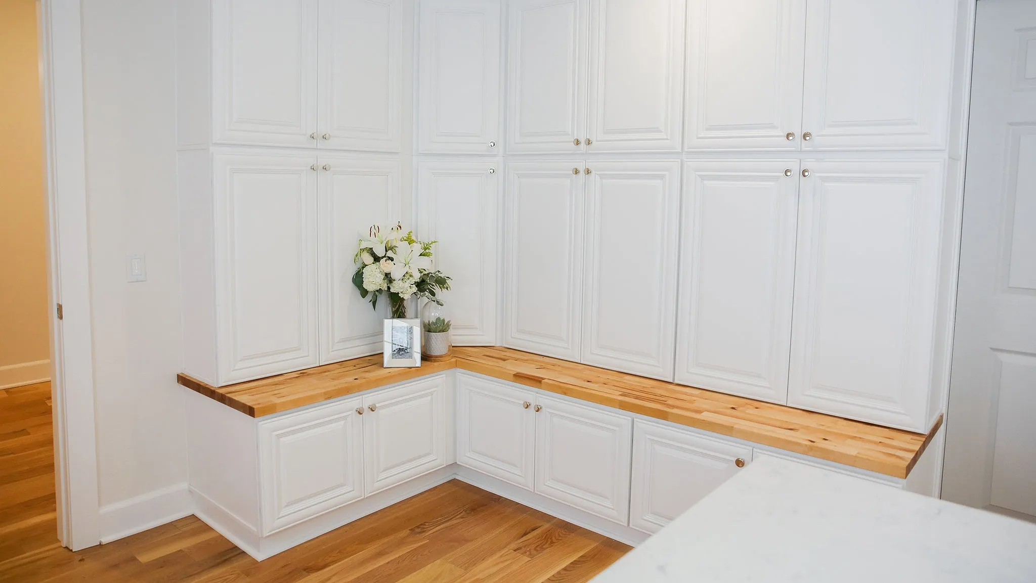 Cabinet Sample - Aspen White