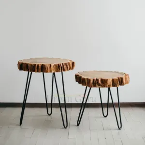 Urban Guru ® Vintage Sheesham Wood End Table Set of 2, Durable and Sturdy Side Table for Living Room | Solid Real Wood Edge Table for Home Decor Hand Made Side Table